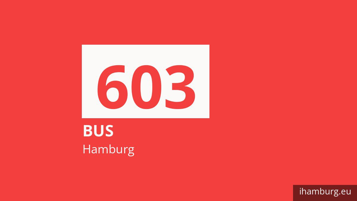 Nachtbus 603 in Hamburg