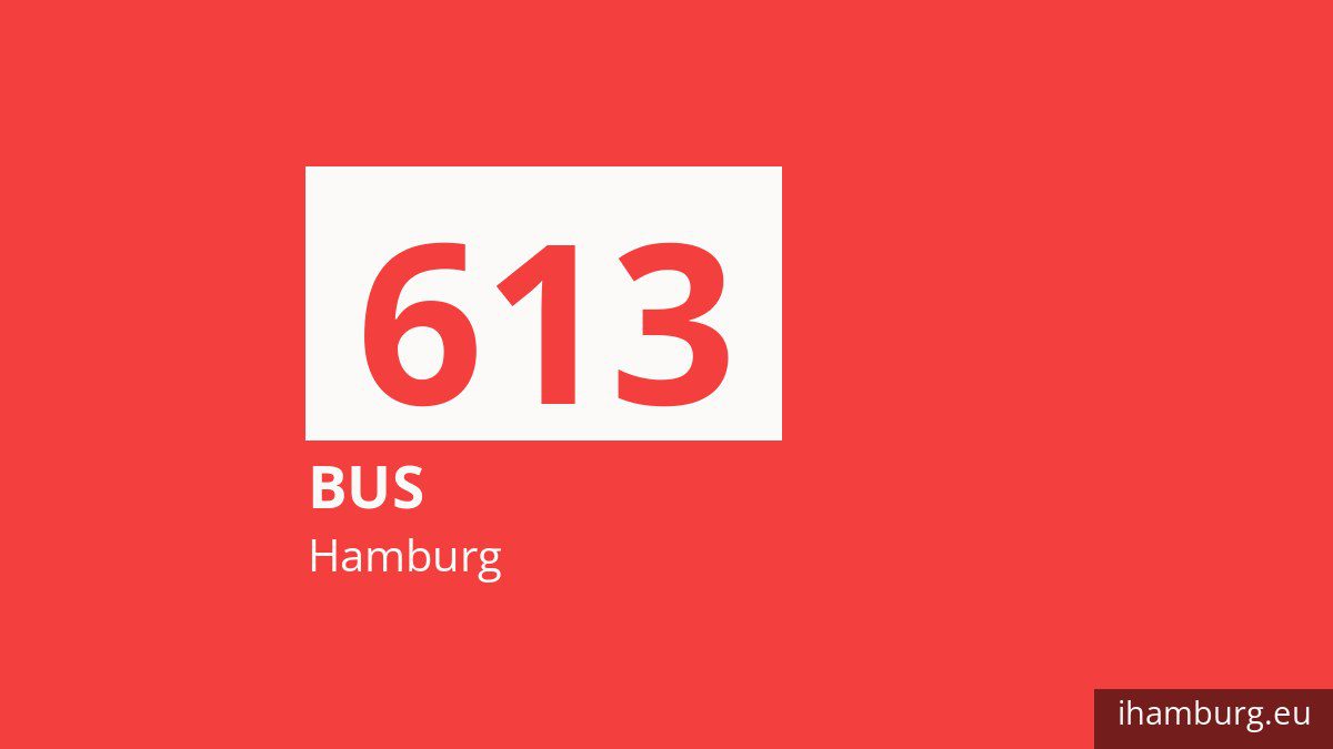 Nachtbus 613 in Hamburg